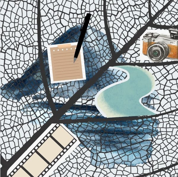 Multimedia